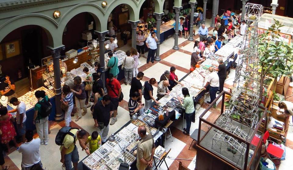 Gemme, minerali e fossili: torna il mercato segreto delle pulci, una volta al mese e a ingresso gratuito!