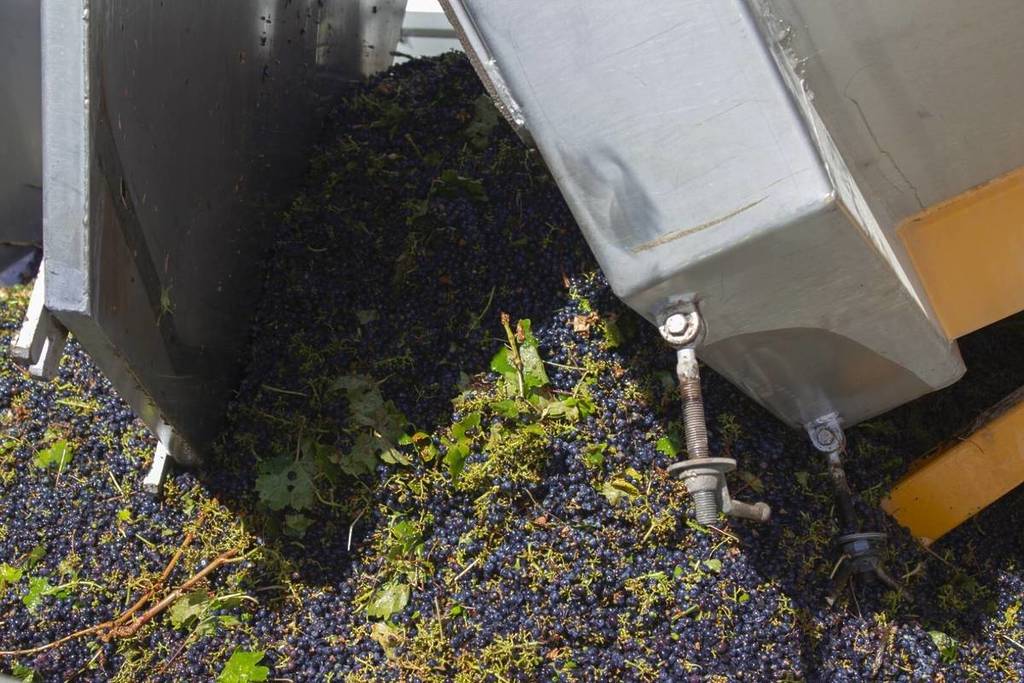 visitas bodega tavera toledo madrid