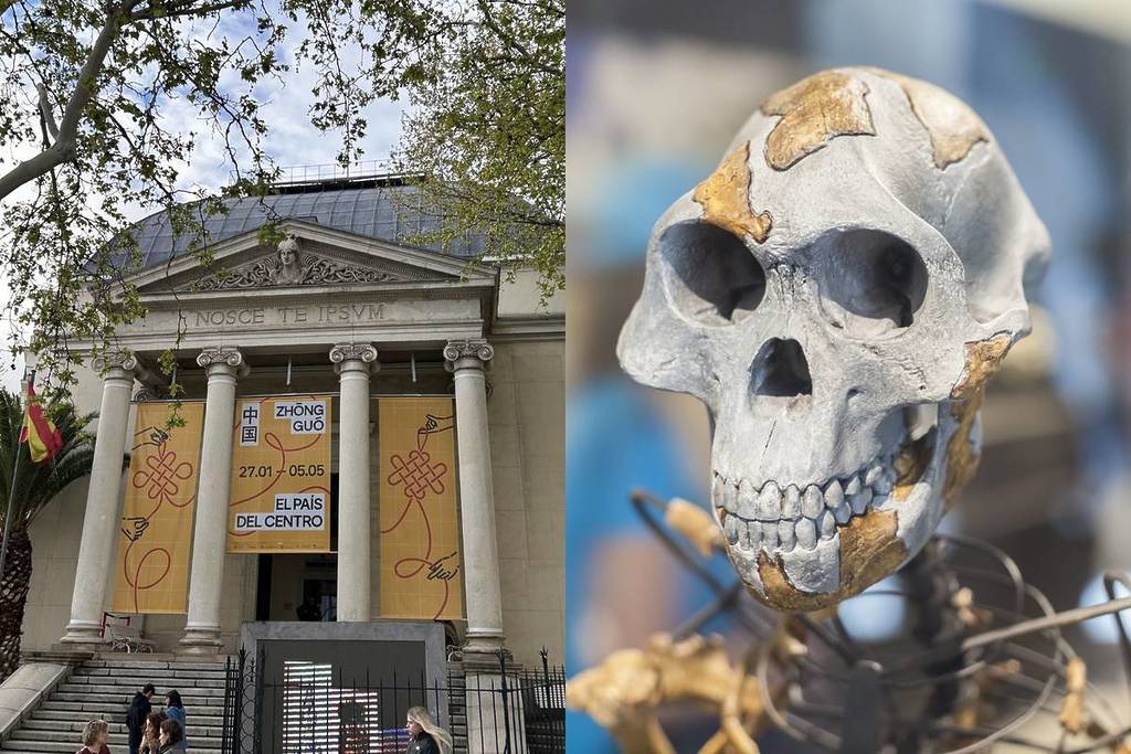 The museum in Madrid that you can visit for free during the whole month of October: free admission from Tuesday to Sunday for its permanent collection
