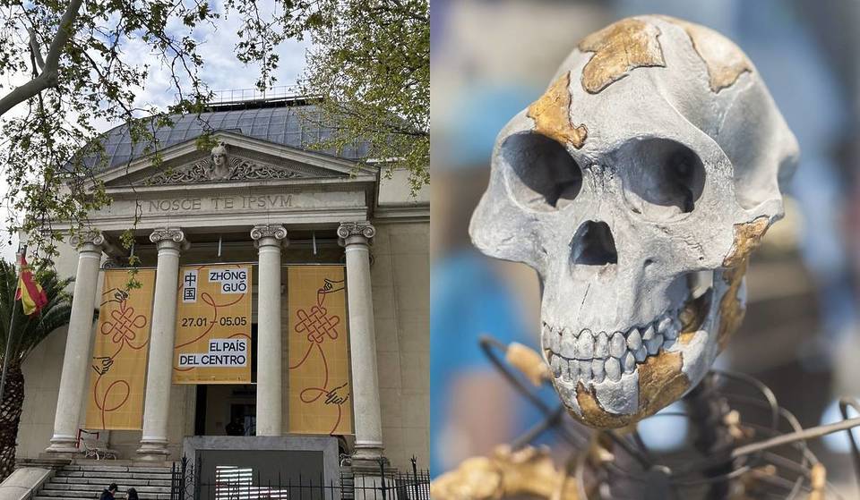 Il museo di Madrid visitabile gratuitamente per tutto il mese di ottobre: l’ingresso alla collezione permanente è di 0 euro dal martedì alla domenica.