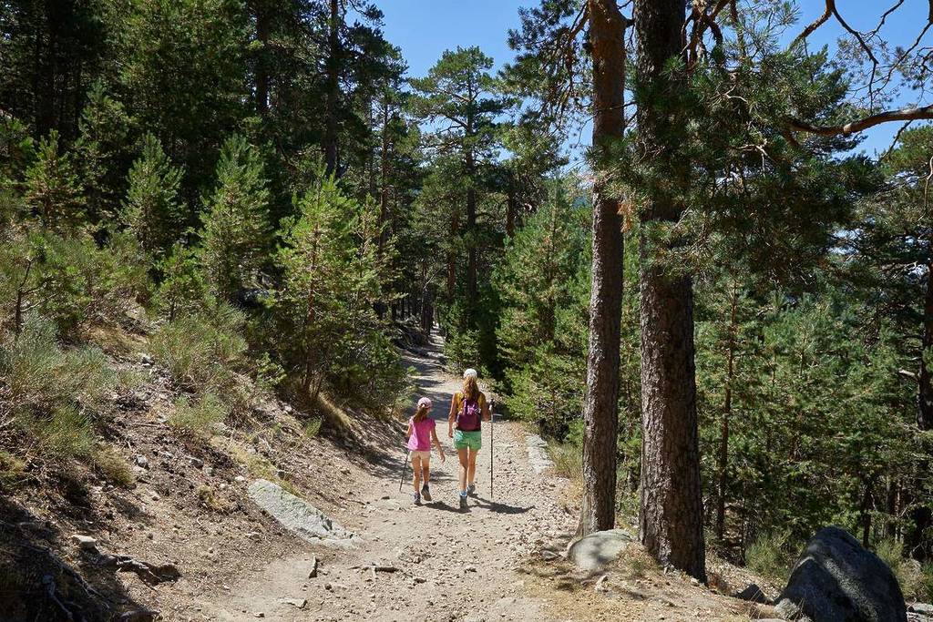 Un percorso escursionistico secolare a un&#8217;ora da Madrid che è anche uno dei più facili da fare con la famiglia quest&#8217;autunno.
