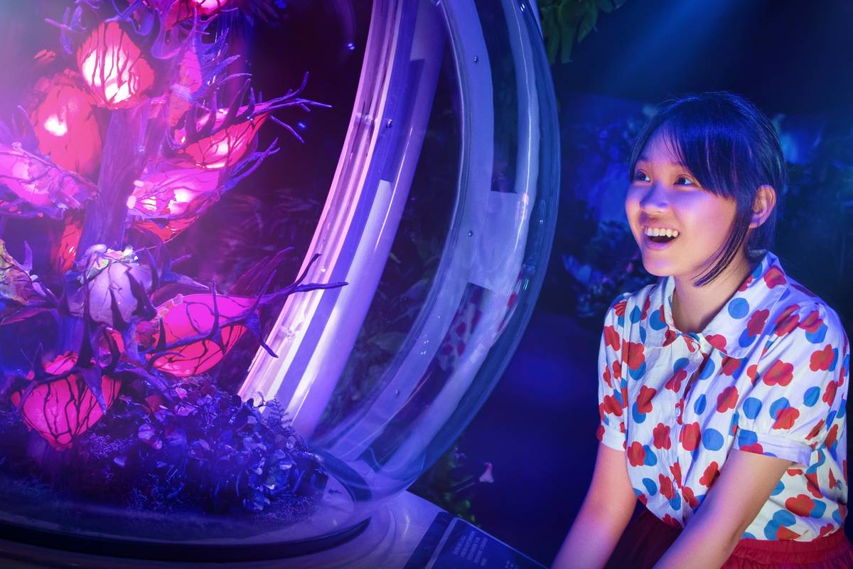 Avatar The Experience Madrid