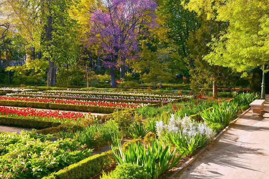 You&#8217;ve always wanted to visit it and now it&#8217;s free: the Botanical Garden awaits you with cinema, theater and exhibitions