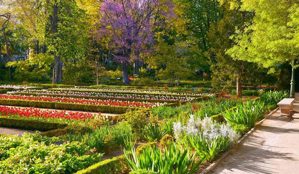 Vous avez toujours voulu le visiter et maintenant c&rsquo;est gratuit : le Jardin botanique vous attend avec du cinéma, du théâtre et des expositions.