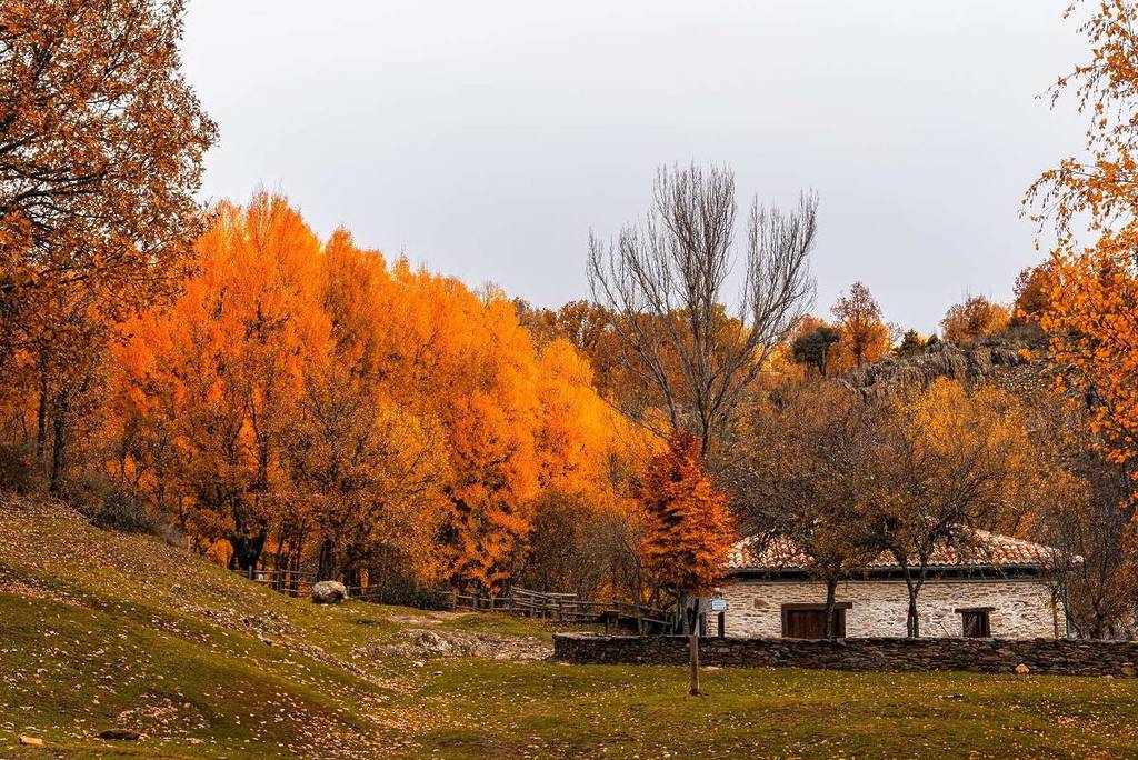 Il villaggio a un&#8217;ora da Madrid con un bosco unico nella regione dichiarato Patrimonio Naturale dell&#8217;Umanità.