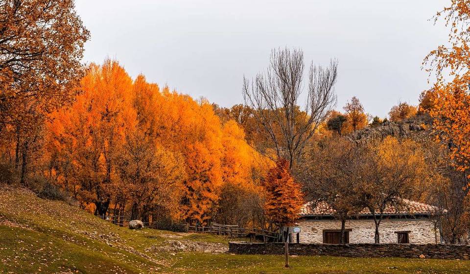 Le village situé à une heure de Madrid possède une forêt unique dans la région, déclarée Patrimoine Naturel de l&rsquo;Humanité.