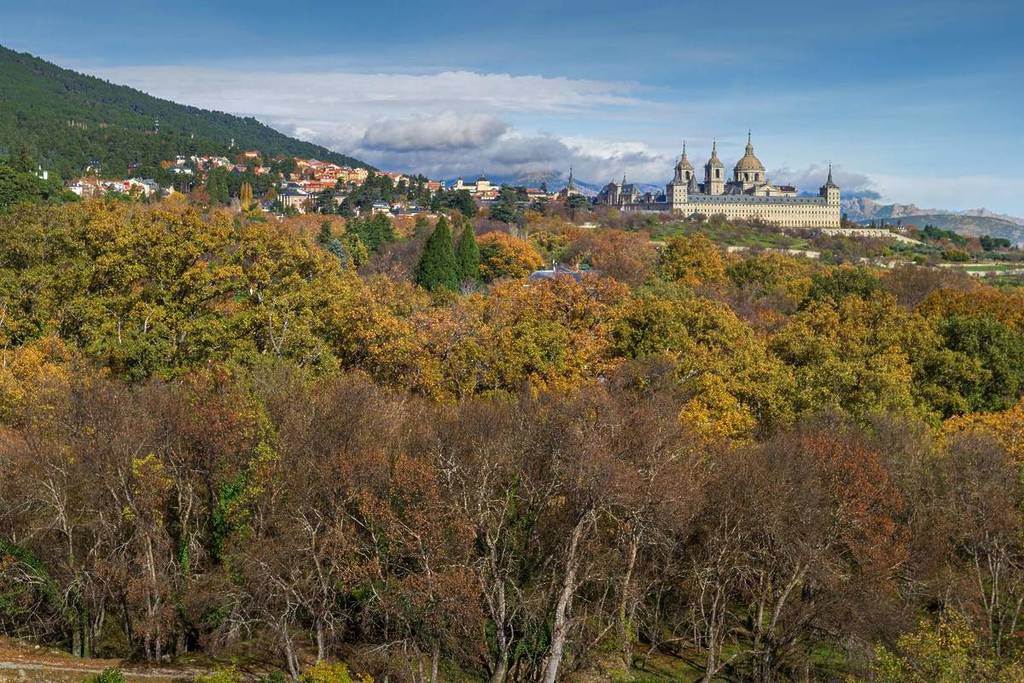 Où cueillir des châtaignes près de Madrid : les forêts d&rsquo;automne les plus magiques de Madrid