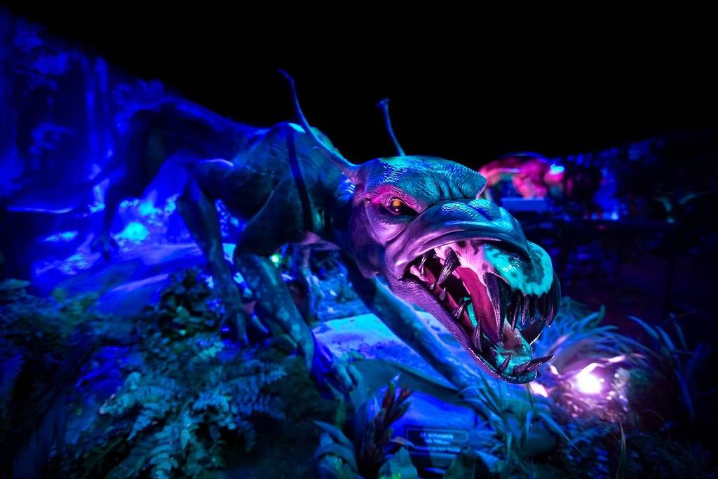 Avatar: The Experience