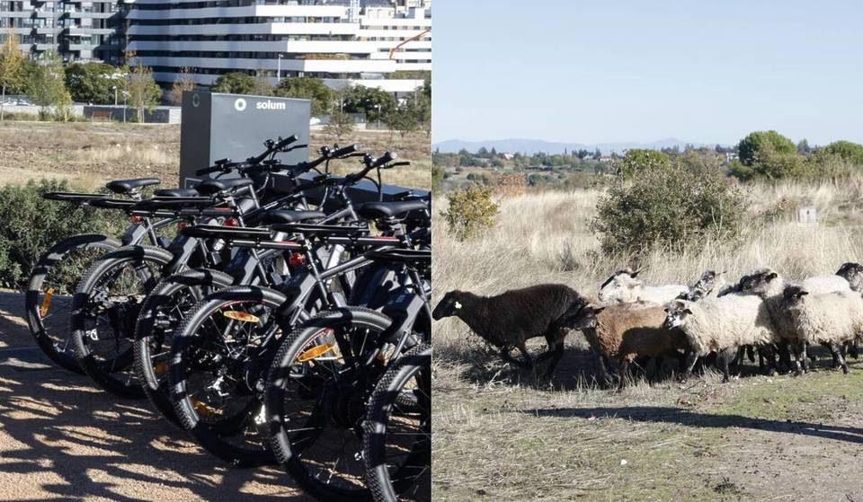 Due parchi di Madrid offrono 90 minuti di bicicletta elettrica gratuita (e durante il percorso si possono anche vedere le pecore)