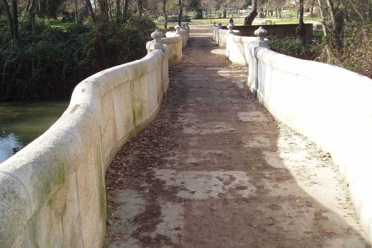 puente de la culebra