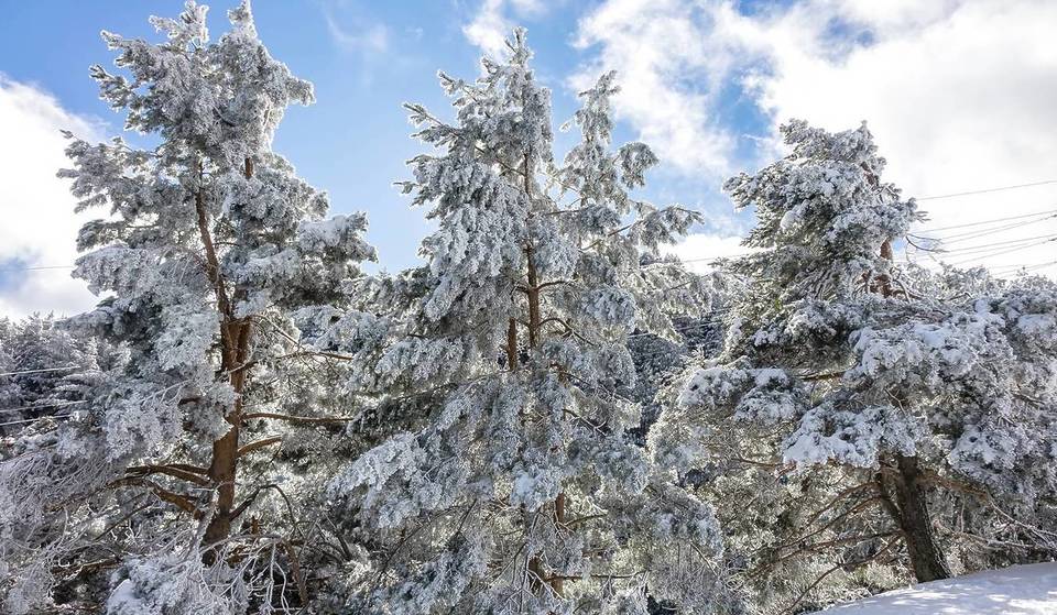 Aviso por nieve en Madrid: la Sierra espera acumulaciones de hasta cinco centímetros