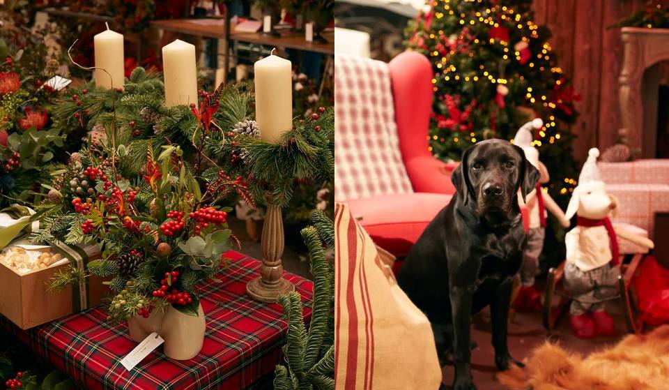 The Christmas market that brings flowers to the street just for a day returns to this neighborhood of Madrid
