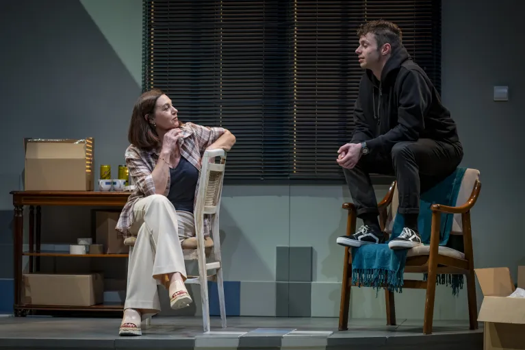 vincent river teatro fernán gómez planes enero madrid