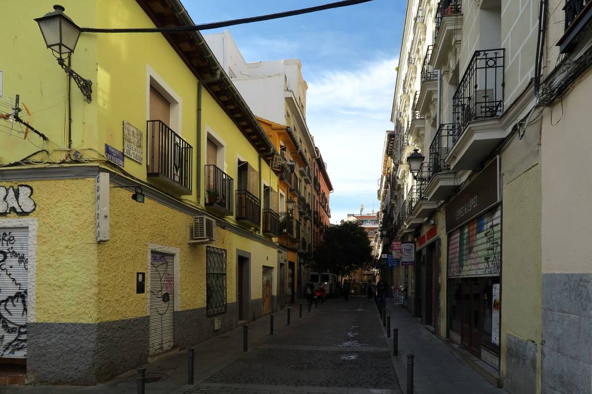baobab hotel cápsulas