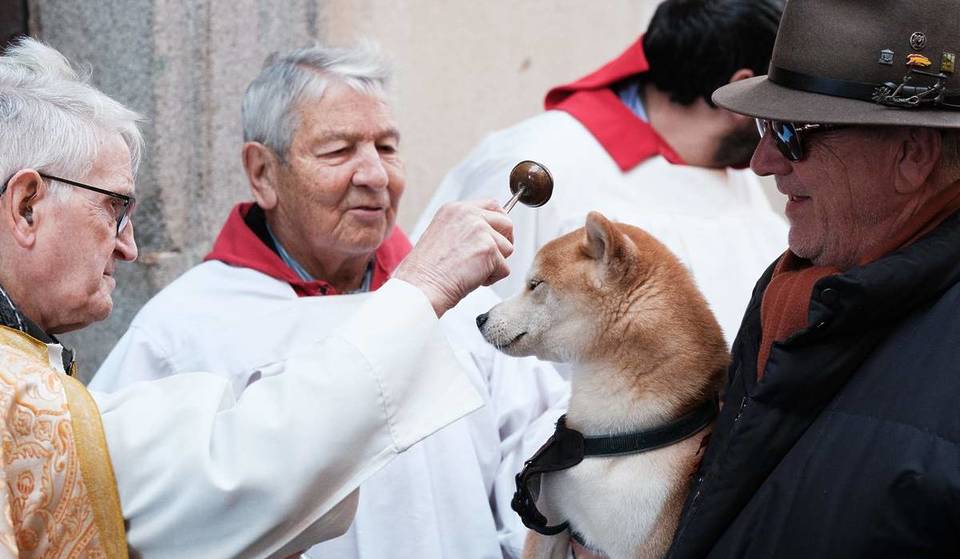 Vuelve a Hortaleza la fiesta tradicional donde los animales son protagonistas: toda la programación de San Antón 2026