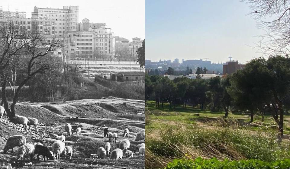 Madrid prima dell’asfalto: la mostra gratuita che cattura un quartiere che non esiste più