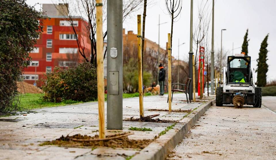 La ville madrilène qui investit 165 000 € pour planter 1 000 nouveaux arbres : un nouveau poumon pour la ville