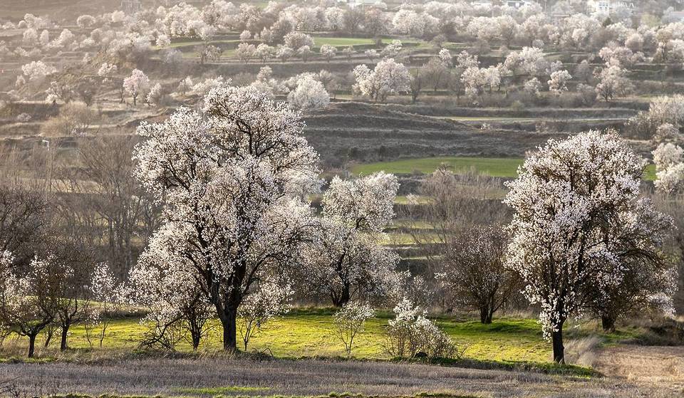 A National Geographic tem a certeza: a vila mais bonita para uma escapadela em março fica em Burgos (e floresce em branco e rosa).