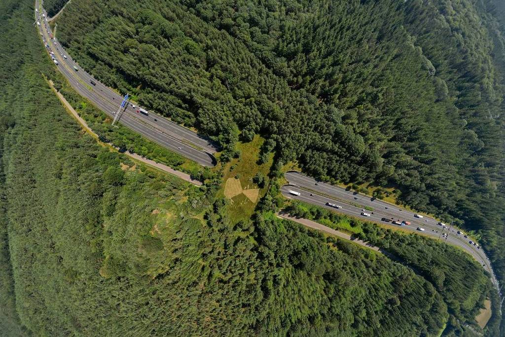 Die „Autobahn für Tiere“, die nach Madrid kommt: eine riesige grüne Brücke voller Pflanzen über einer Straße