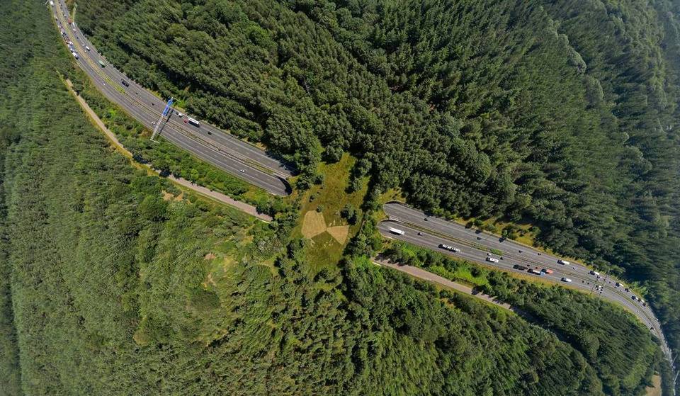 La ‘autopista para animales’ que llega a Madrid: un paso verde gigante lleno de plantas y sobre una carretera