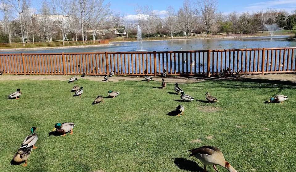 Riapre uno dei parchi più visitati dopo una ristrutturazione completa: nuove aree verdi, più luce e spazi per godersi il parco