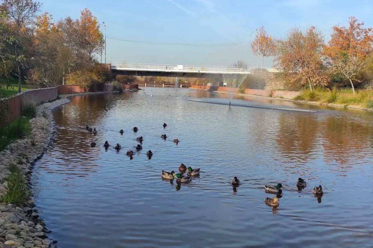 One of the most visited parks reopens after a complete renovation: new ...