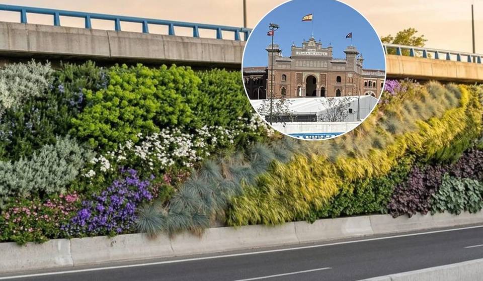 Madrid’s busiest stretch of road will change this summer: 2,800 m² of vegetation and smart irrigation along the M-30