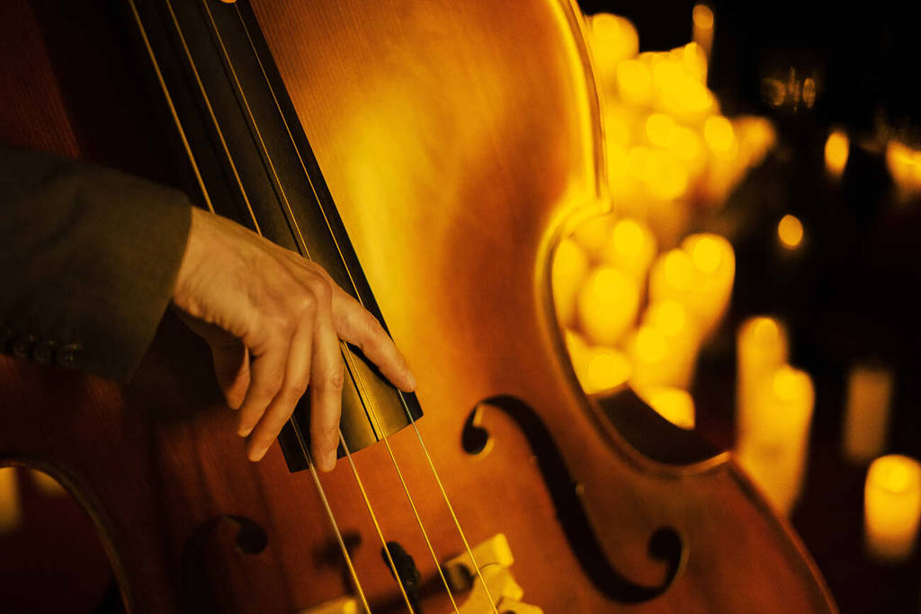 Primer plano de las manos de un músico tocando el contrabajo durante un concierto Candlelight en el Ateneo de Madrid.