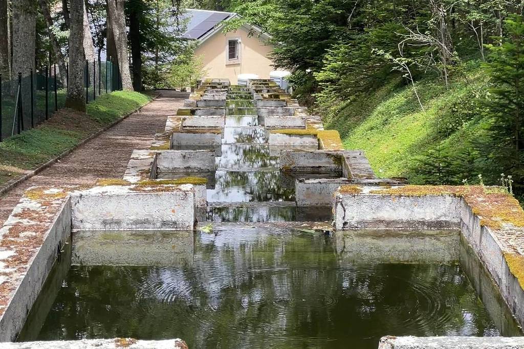 New guided tours of Spain’s first fish farm and the Royal Pharmacy in La Granja de San Ildefonso: tickets (for just €4) and more information
