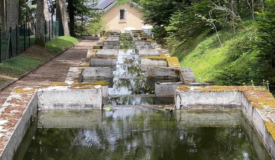 Nuove visite guidate al primo allevamento ittico di Spagna e alla Real Botica a La Granja de San Ildefonso: biglietti (a soli 4 €) e ulteriori informazioni