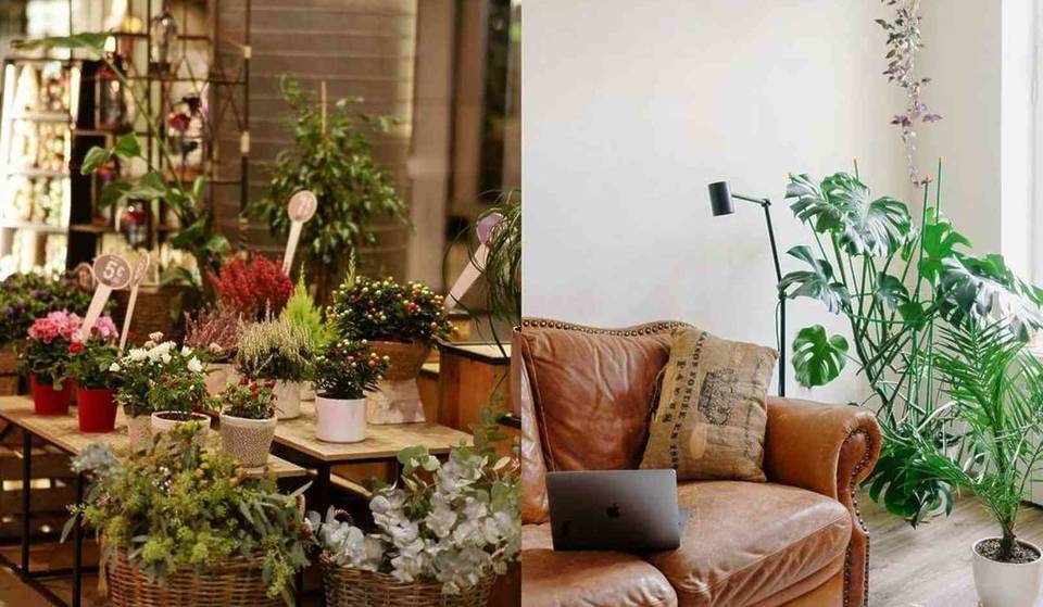 The plant event is back in Madrid, and long lines are expected starting early in the morning: there are plants for less than €1