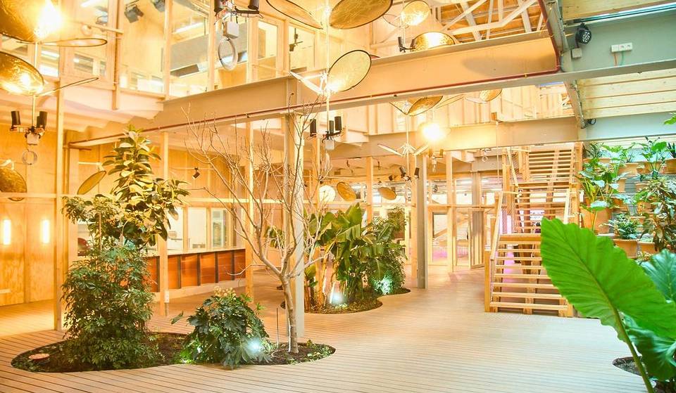 Madrid estrena una guardería de plantas para quienes se van de vacaciones este verano: así funciona