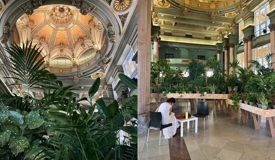 Giochi da tavolo, lettura e aria fresca: il rifugio climatico del Círculo de Bellas Artes per trascorrere l’estate a Madrid ha già le date