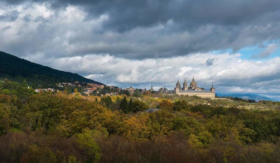 Forget the Retiro: less than an hour from Madrid, this vast, free green space is a true oasis of freshness