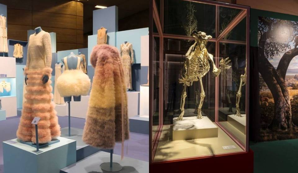 The 21 Must-See Exhibitions in Madrid This September: From Teresa Helbig’s Delicate Designs to the Fascinating “Saber Teeth”