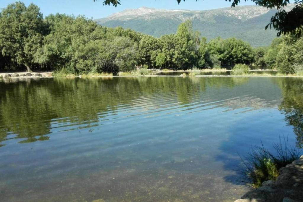 A apenas uma hora de Madrid, há três piscinas naturais rodeadas de árvores: o acesso a pé é gratuito
