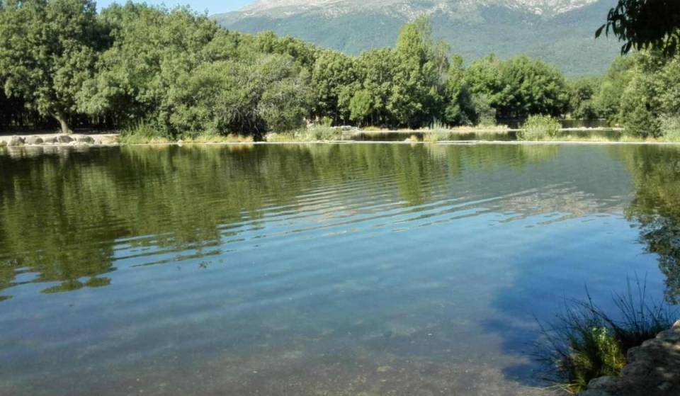 A apenas uma hora de Madrid, há três piscinas naturais rodeadas de árvores: o acesso a pé é gratuito