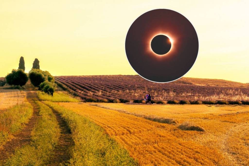 eclipse lavanda