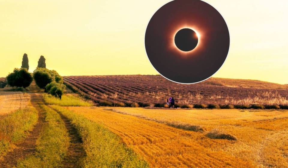 Ver el eclipse entre campos de lavanda: el municipio madrileño que prepara un programa de actividades especial para el 12 de agosto