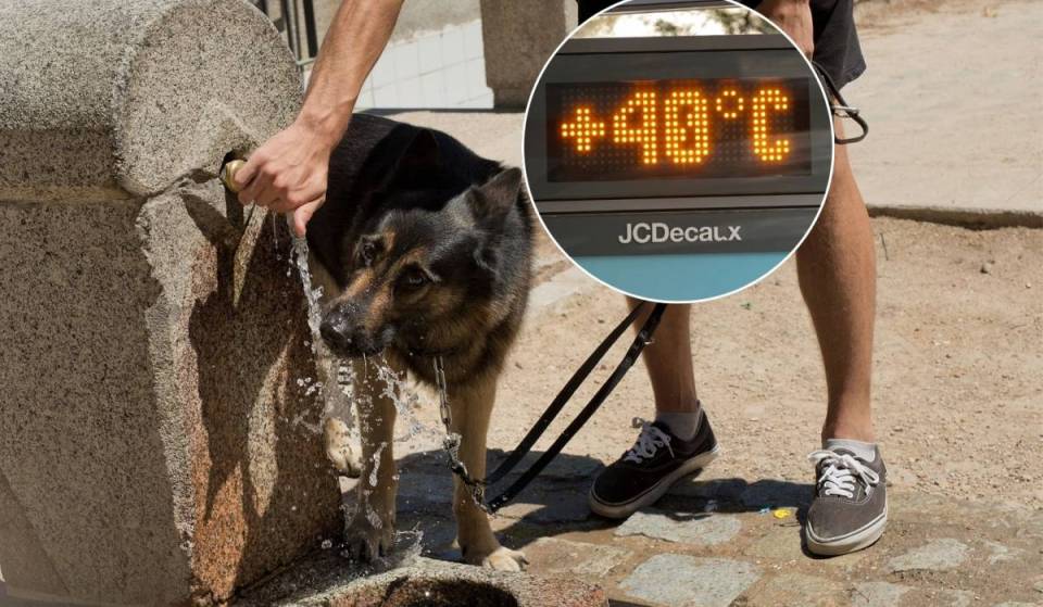 Die vierte Hitzewelle des Sommers ist da: Das sind die Gemeinden in Madrid, in denen Höchsttemperaturen von bis zu 40 °C erwartet werden
