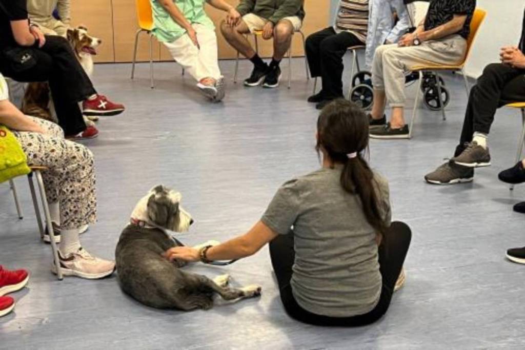 Workshop zur tiergestützten Therapie im öffentlichen Krankenhaus „Doctor Rodríguez Lafora“.