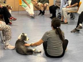 Los pacientes con trastorno mental grave mejoran su bienestar tras un programa terapéutico con perros en un hospital de Madrid