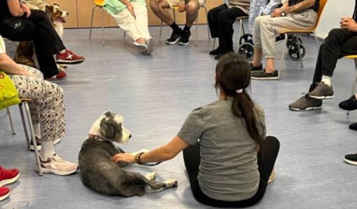 Les patients souffrant de troubles mentaux graves voient leur bien-être s’améliorer grâce à un programme thérapeutique avec des chiens dans un hôpital de Madrid