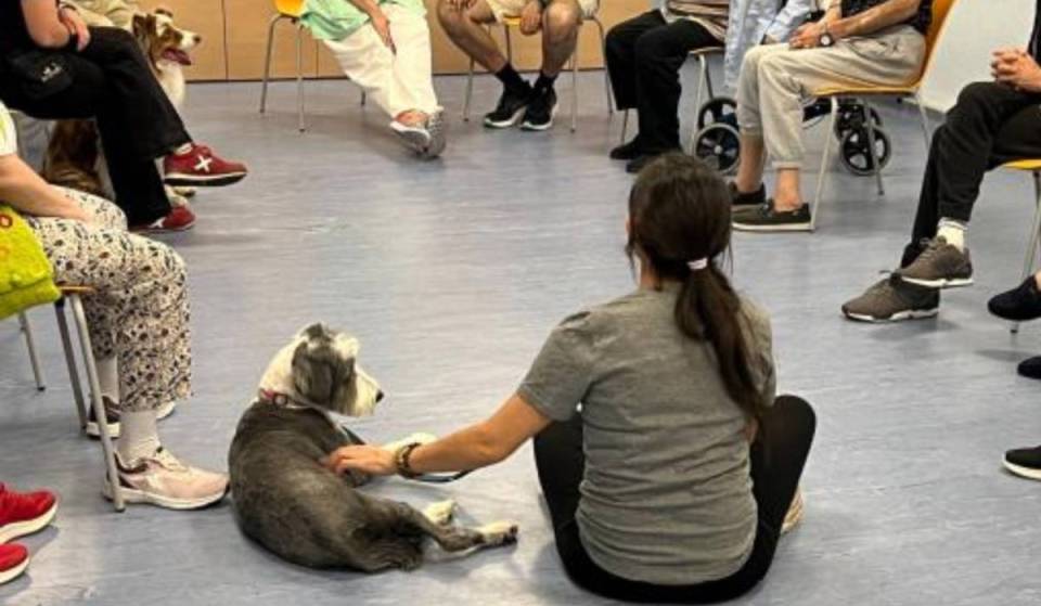 Os doentes com perturbações mentais graves melhoram o seu bem-estar após um programa terapêutico com cães num hospital de Madrid