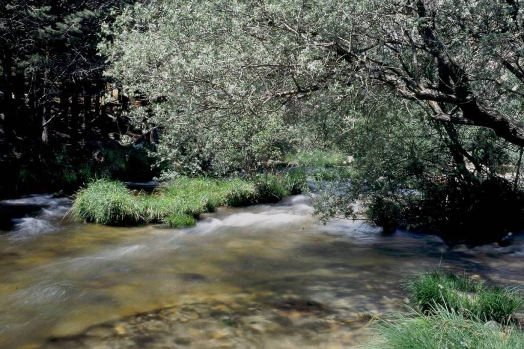 La rivière Manzanares à La Pedriza.