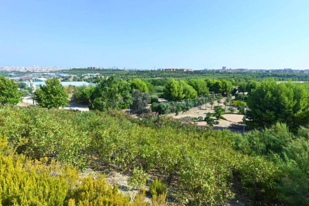 Vallecas Communities Park