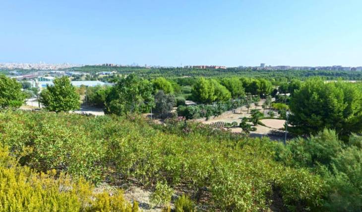 Pocos madrileños lo conocen: el singular parque de Vallecas con terrazas dedicadas a cada comunidad autónoma y un mirador aromático