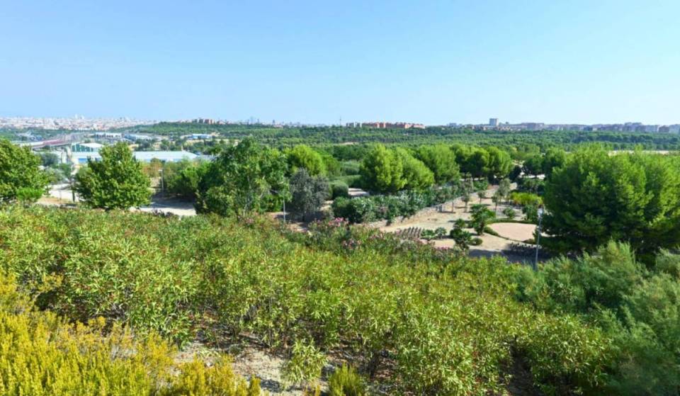Few Madrileños know about it: the unique park in Vallecas with terraces dedicated to each autonomous community and an aromatic lookout point