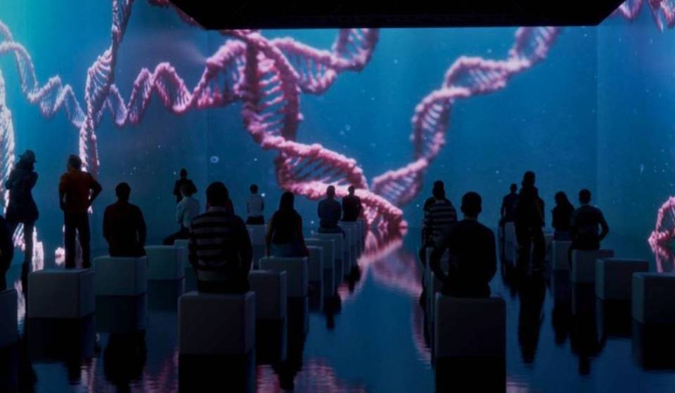 La prima mondiale di «Human Universe» arriva a Madrid: sei sale per esplorare le arterie e osservare il cervello dall’interno