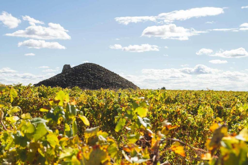 Por primera vez en 40 años Madrid y Tomelloso estarán conectadas por un tren turístico para visitar bodegas, destilerías y cuevas: se pondrá en marcha el 26 de noviembre
